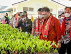 Menko Airlangga Dorong Akselerasi Pertumbuhan Green Economy dan Pengembangan Sustainable Forest Management